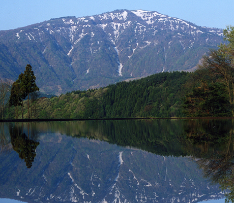 氷ノ山（ひょうのせん）